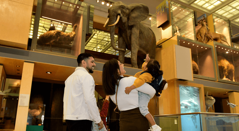 Winter Activities in Newcastle - Museum