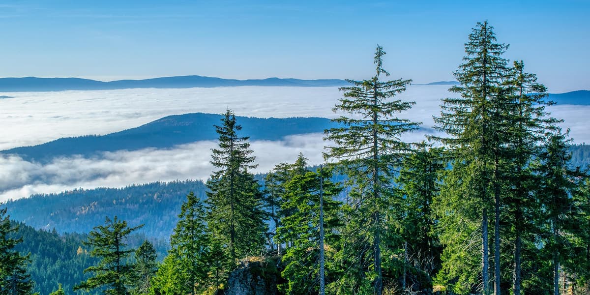 Top Rock Climbing Locations in Europe - Rock climbing in Germany