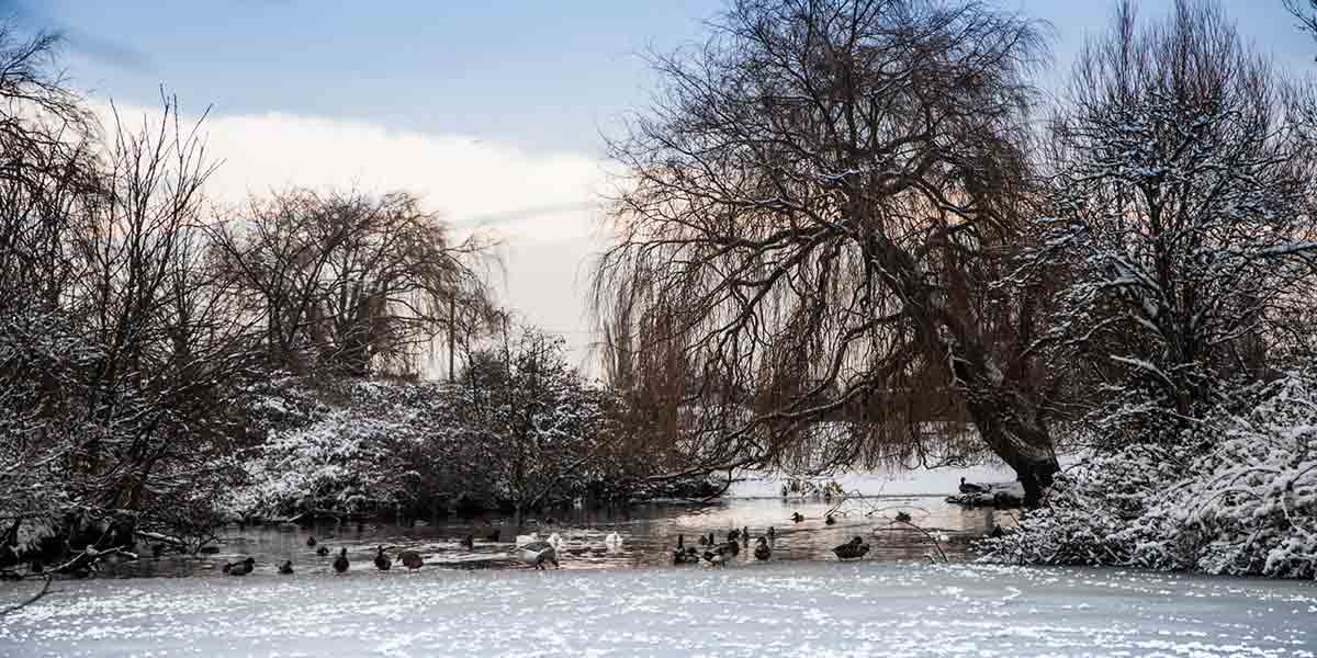 Snow and ice on Christmas