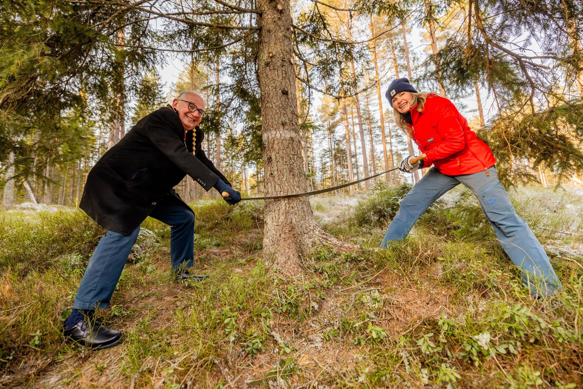 Christmas tree, Norway to London