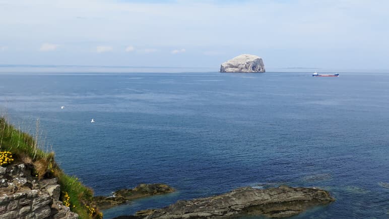 Bass-Rock co Marten-Suhre