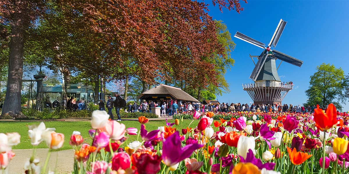 Top events in Holland