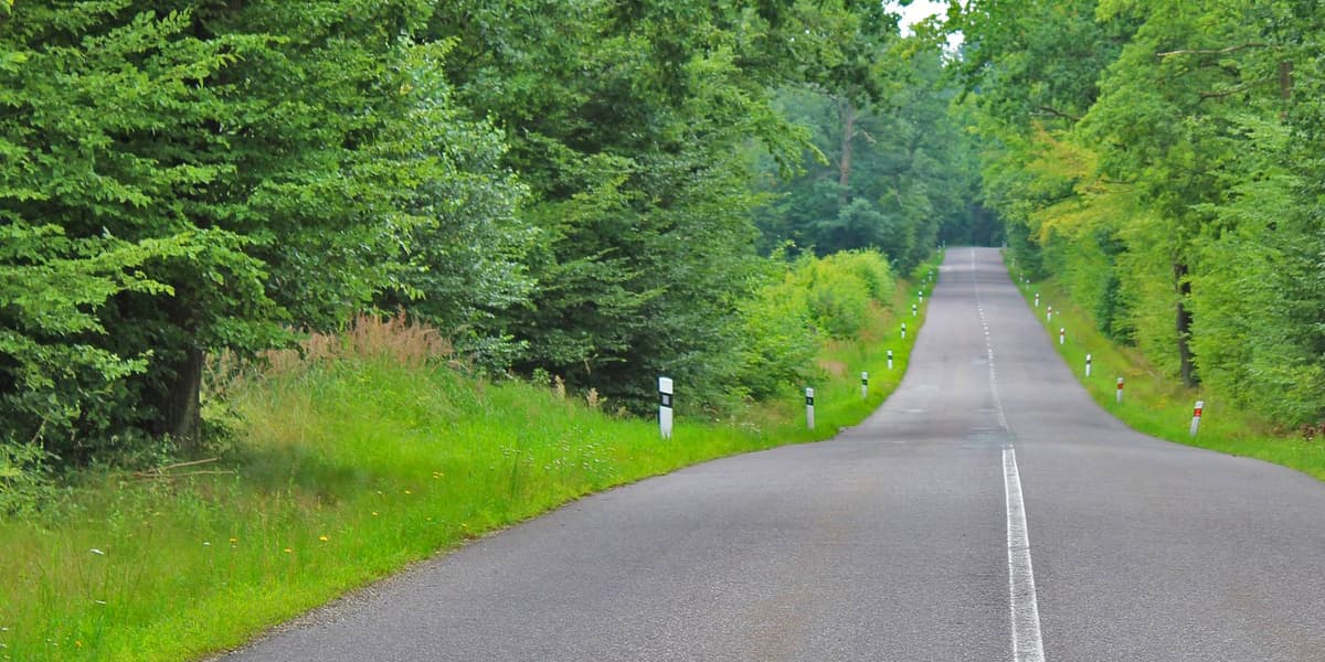 France driving guide