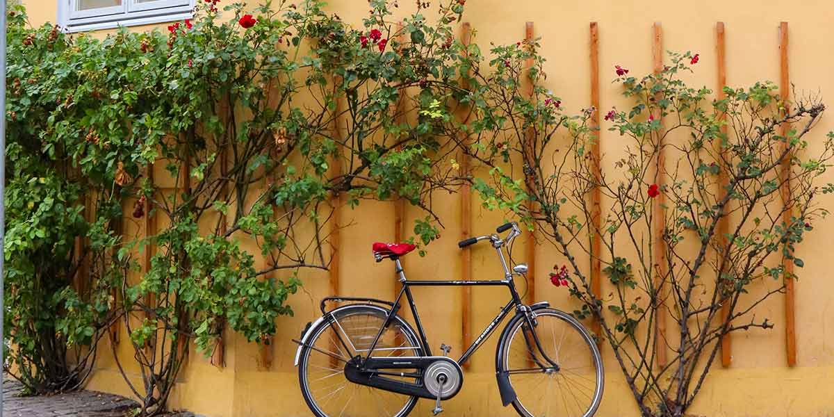 Cph bike