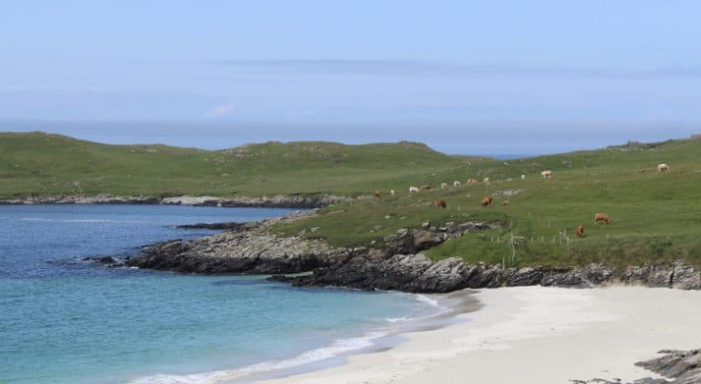 Strand op Shetlandeilanden in de zomer
