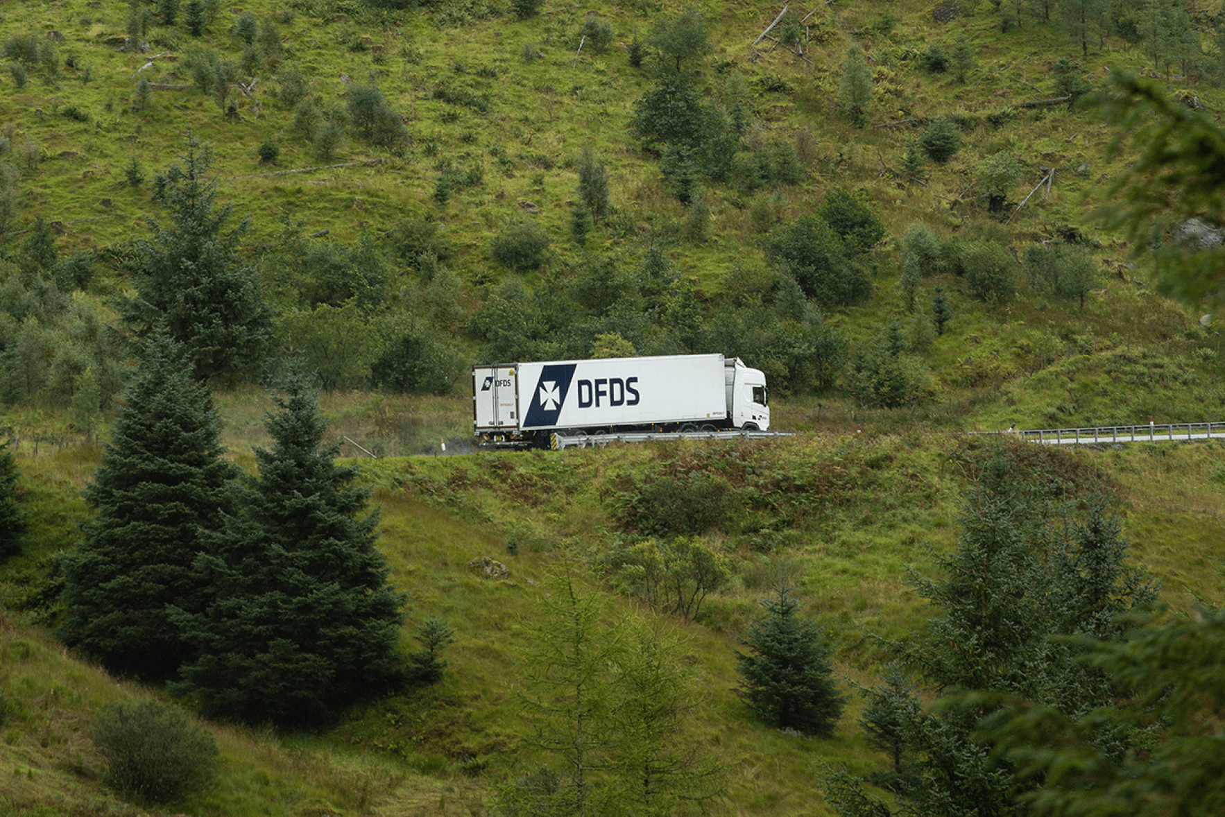 A DFDS white cold chain truck driving on the road through the green forest.