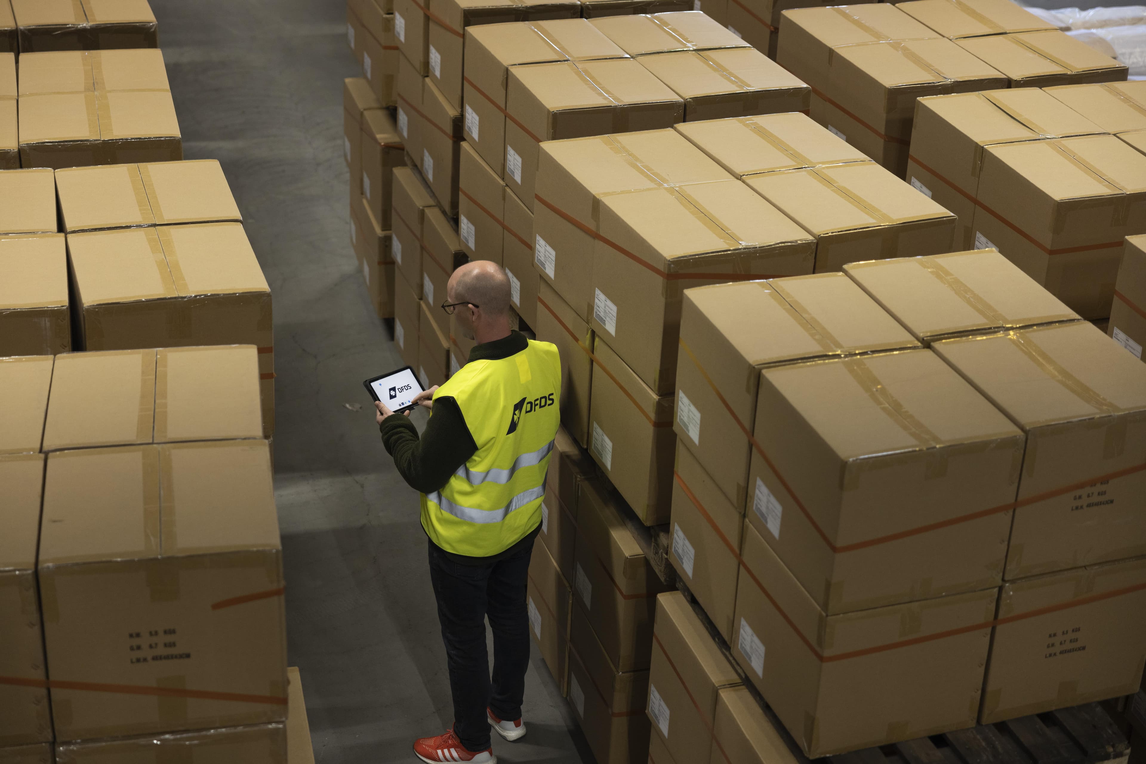 DFDS man in warehouse checking tablet