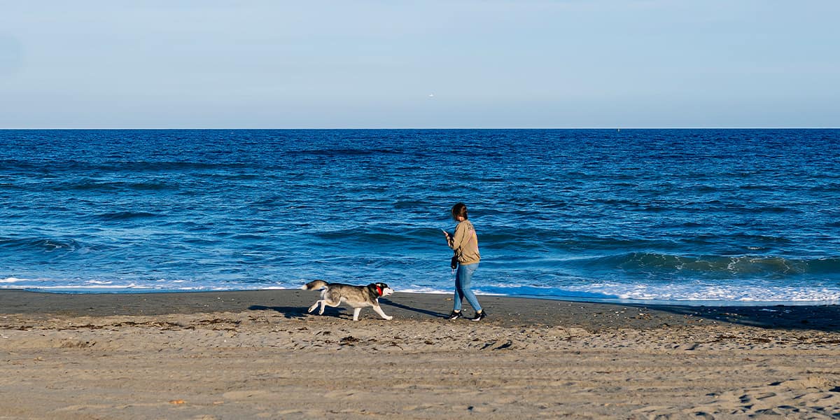 Woman with her dog at the beach