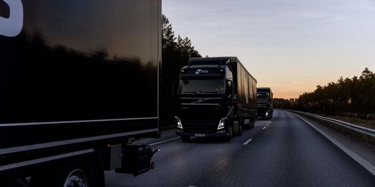 Three dark blue DFDS trucks, driving after each other in a row, with their lights turned on, driving at sunset on a road