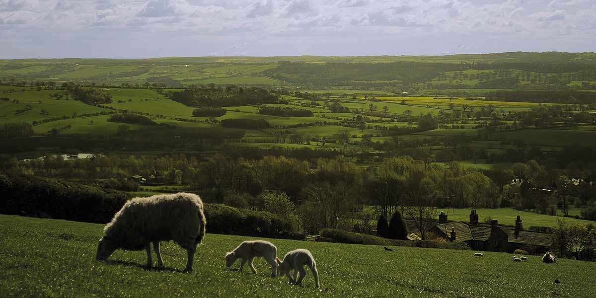 North York Moors landscape